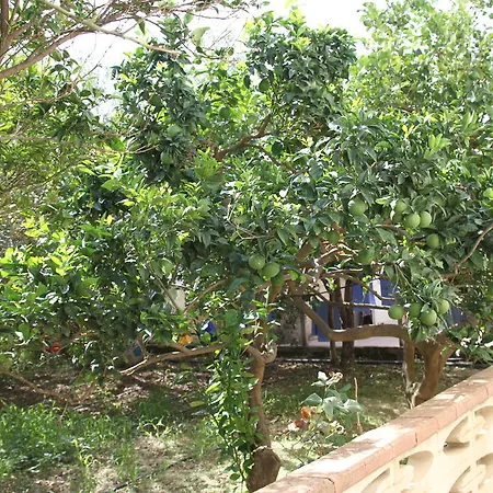 Giarrizzo Licata