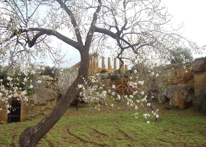 Bed & Breakfast Giarrizzo